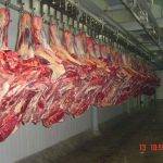 MS negocia abertura do mercado chileno para carne bovina