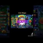 دليل Dubibet الكامل في الإمارات: المميزات، التسجيل، المكافآت وطرق الدفع